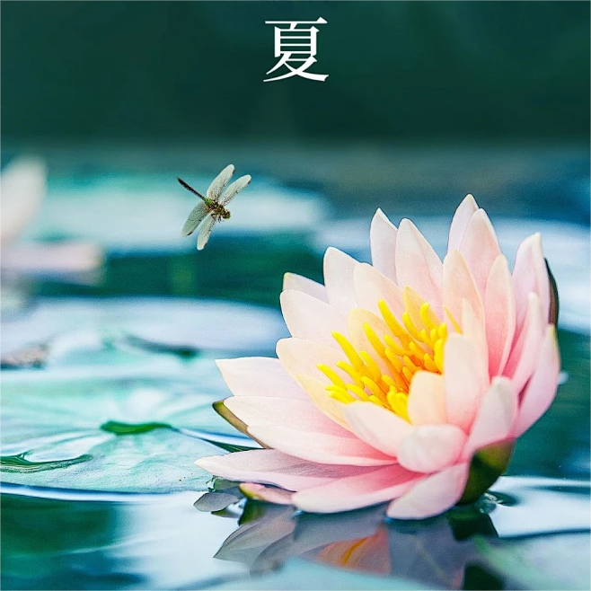 大暑：盛夏的終章